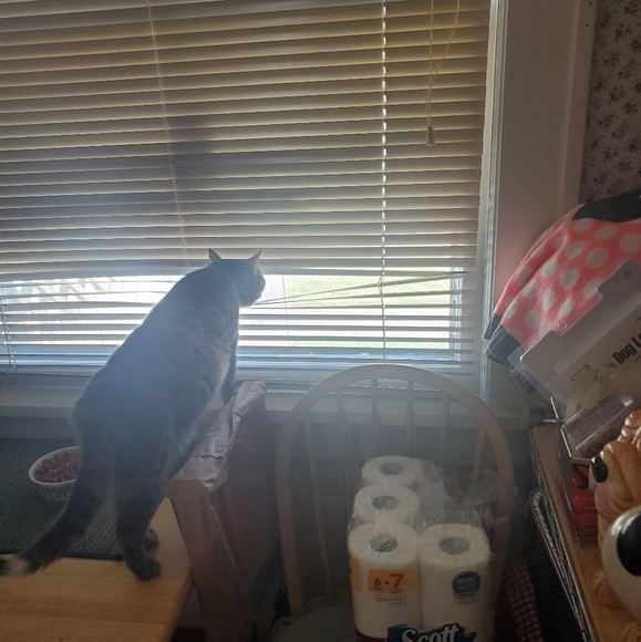 Meet your Posher, Alexandra - Picture 14 of 16